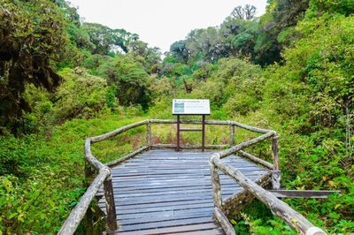 旅游景区的公共设施设计的特点